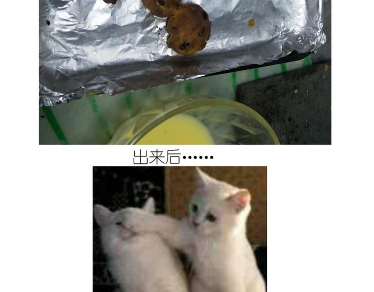 仙女蔓越莓奶酥27