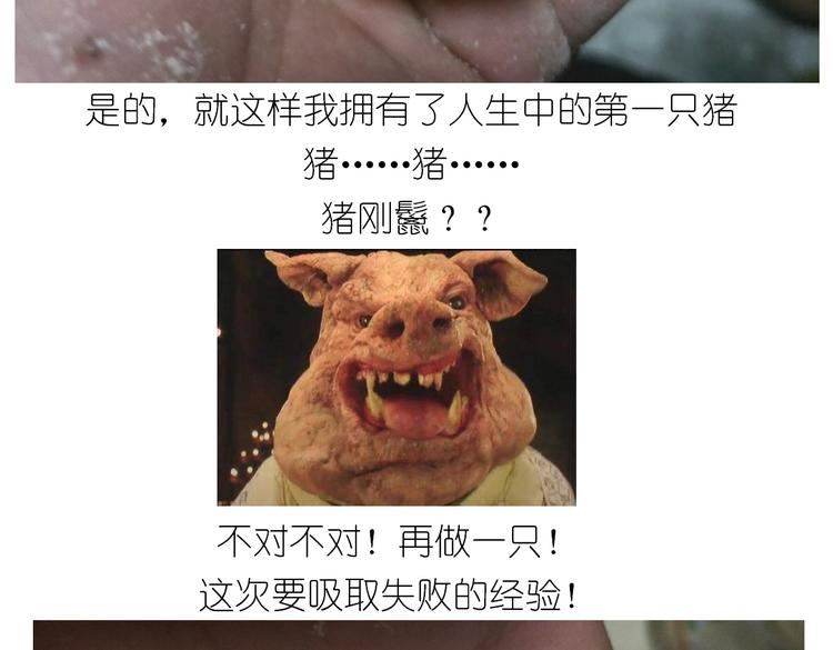 香橙小猪流心包27