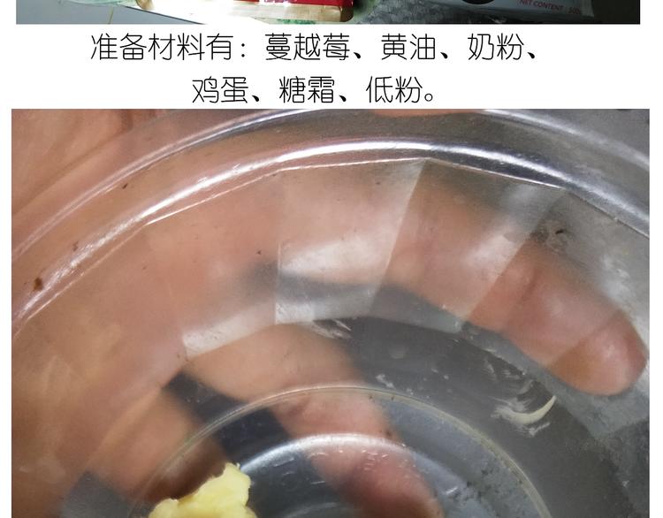 仙女蔓越莓奶酥3