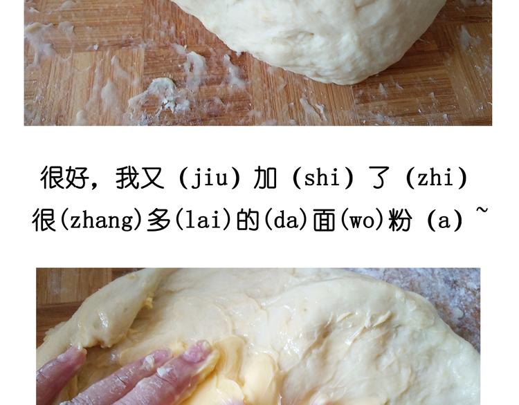 大吐司14