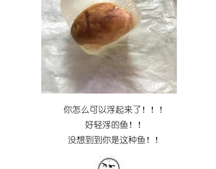 烧果子19