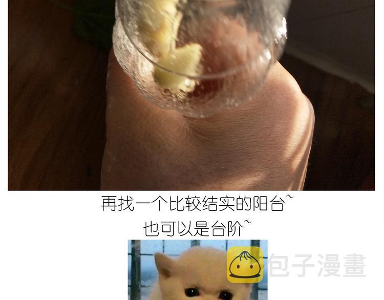 仙女的油泼面20