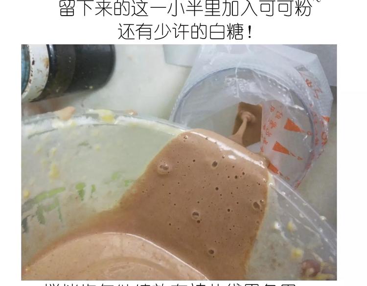 动物蛋糕卷17