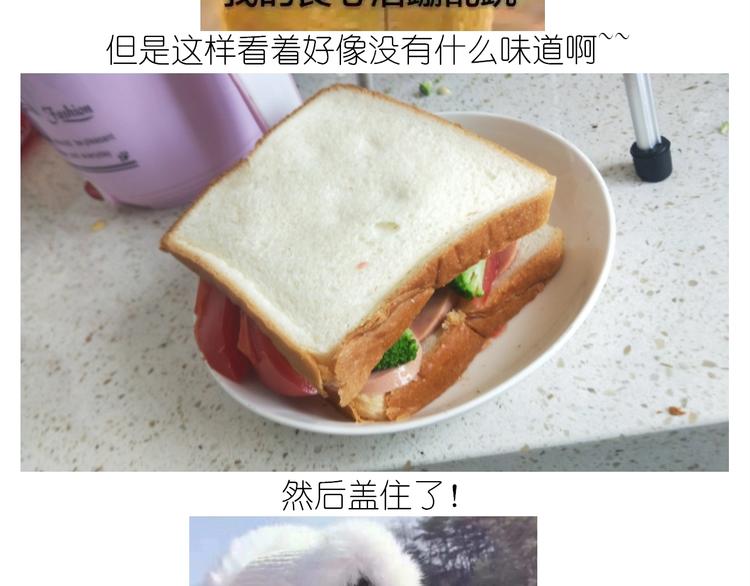 仙女的减肥餐53