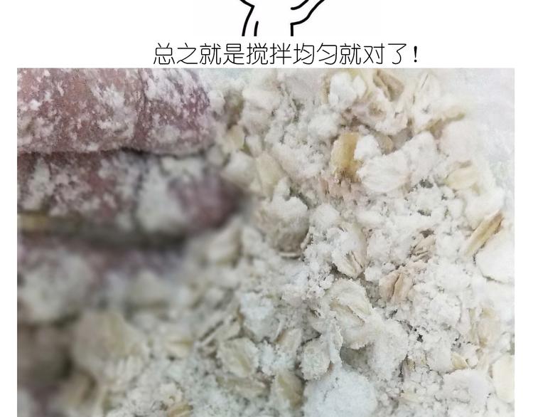 仙女全麦兔仓鼠饼10