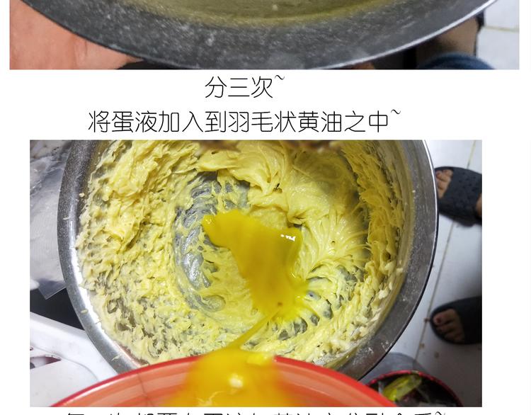 仙女的罗马盾饼干13
