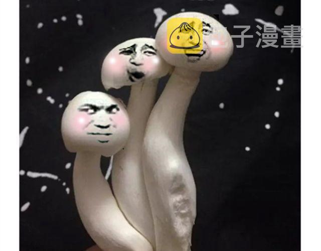 小熊晚安3