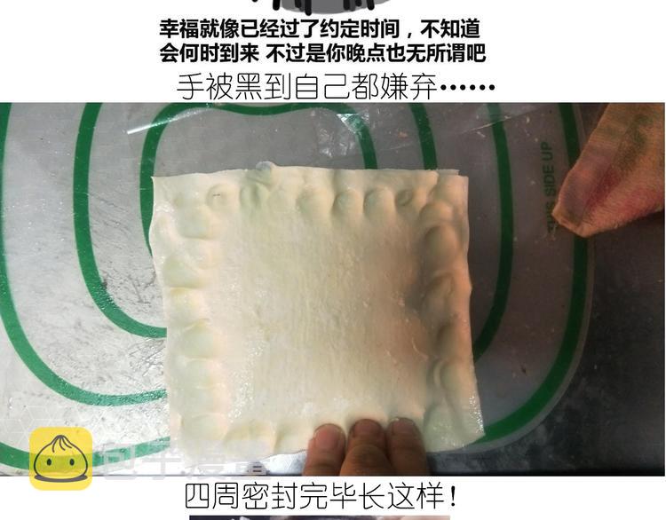 仙女肉月饼19