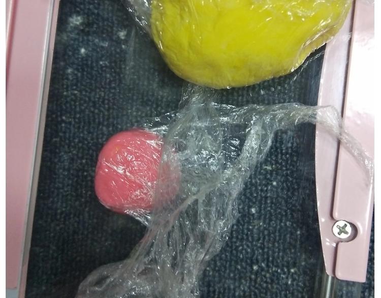 仙女的大黄耗子26