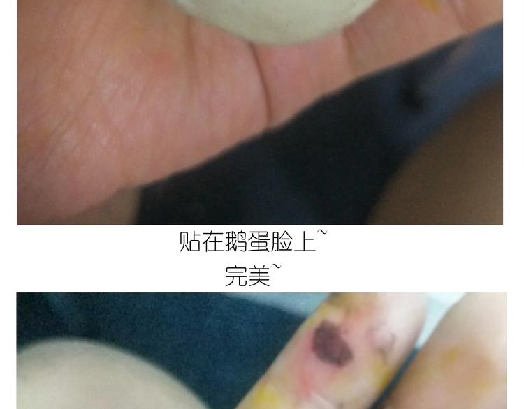 仙女的狗子48