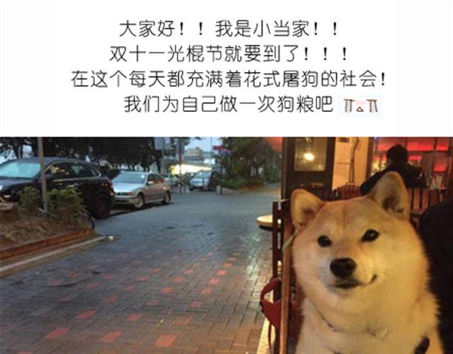 学做骨头饼干，光棍节不孤单！0