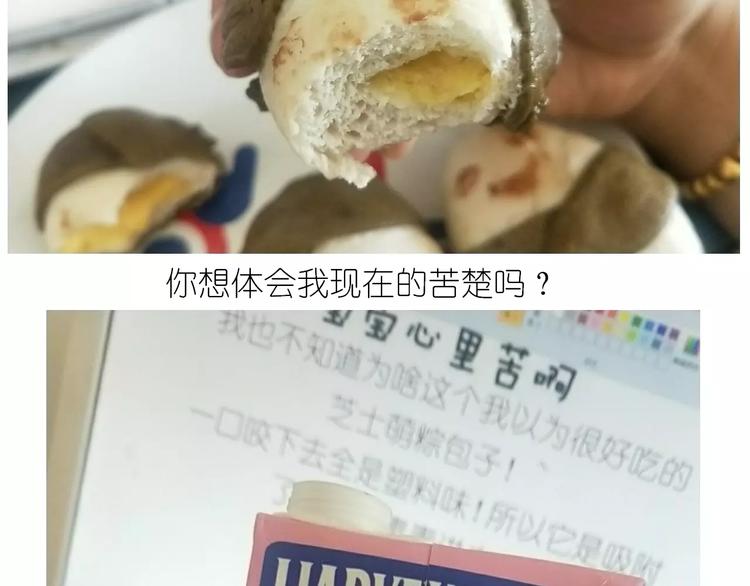 粽子君37