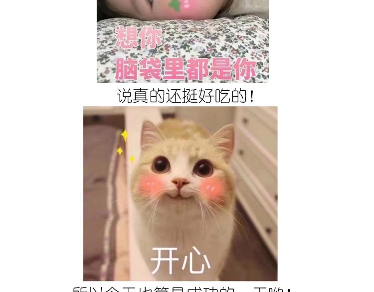 仙女的膨胀糖45