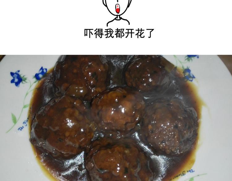 红烧狮子头28