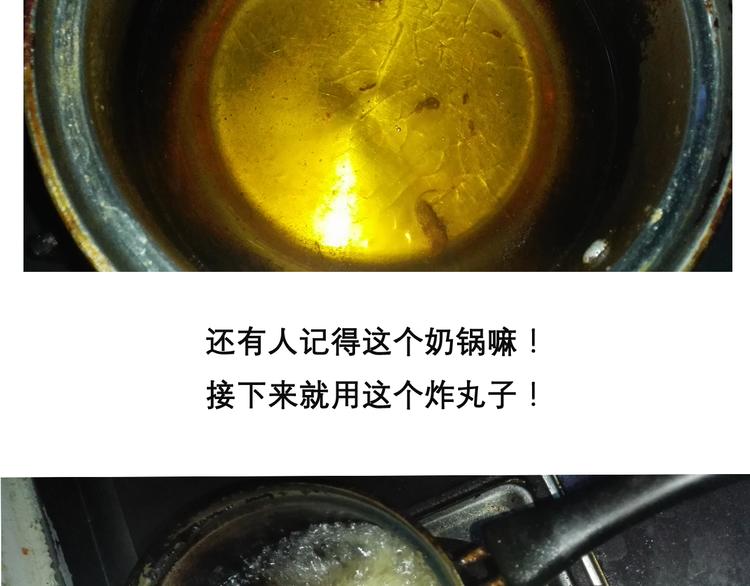 红烧狮子头14