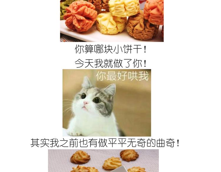 仙女的曲奇2