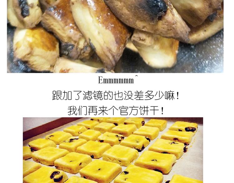 仙女葡萄奶酥34