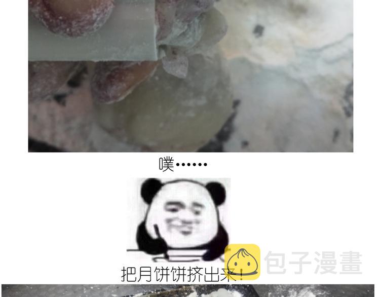 仙女的冰皮月饼26