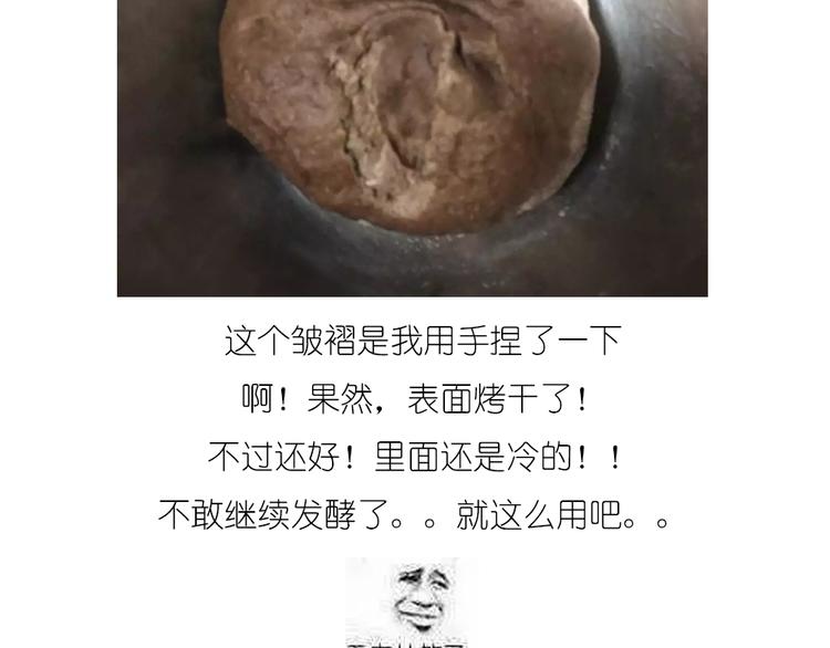 企鹅面包5