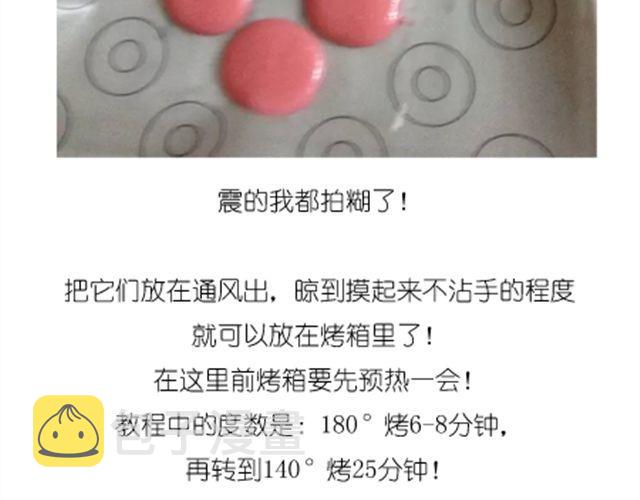 法式马卡龙14