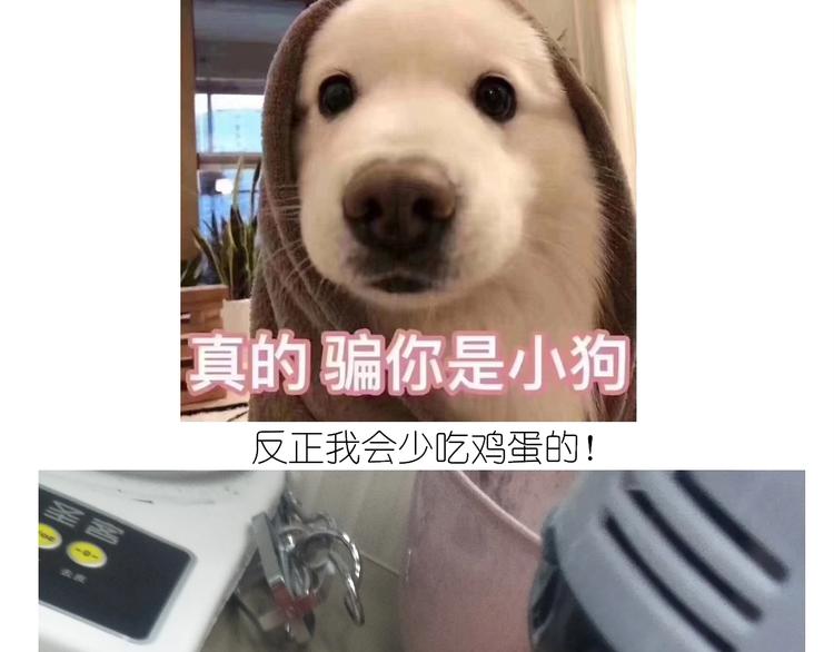 仙女的蜂窝煤25