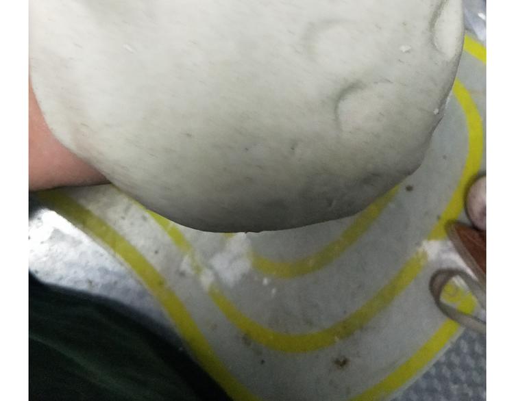 仙女的自制油泼面12