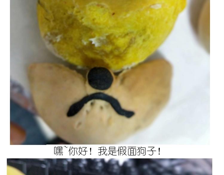 仙女的狗子61
