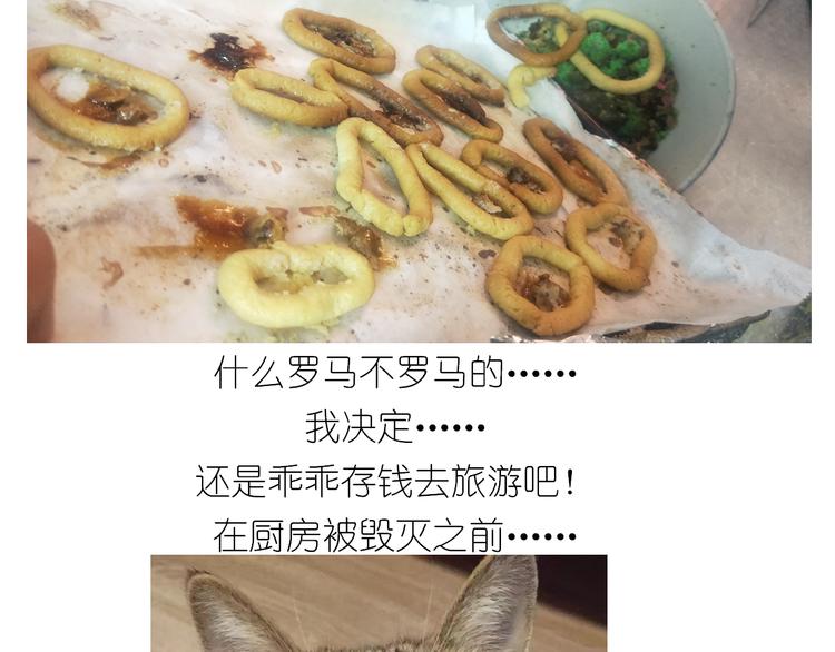 仙女的罗马盾饼干52