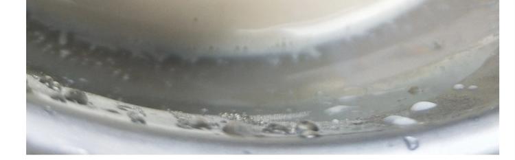 仙女的珍珠奶茶42