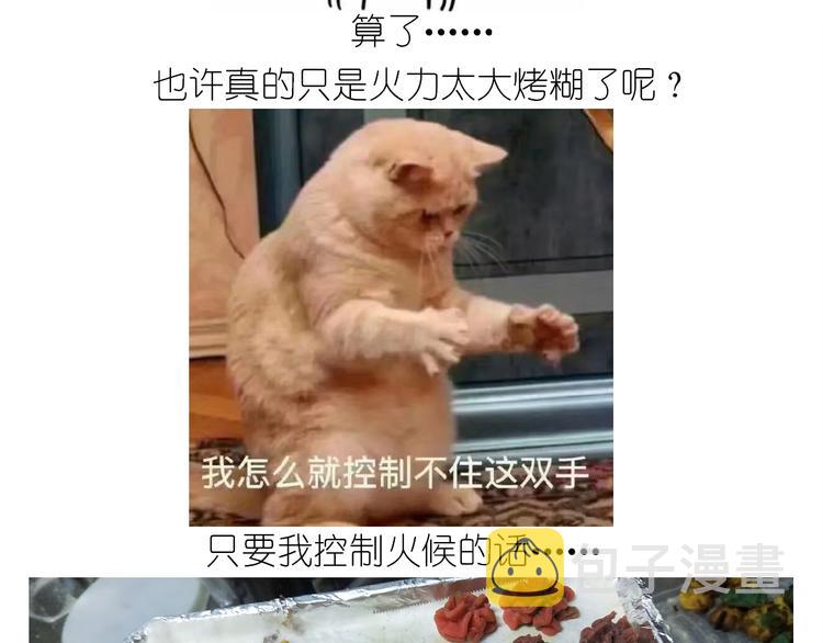 仙女的曲奇47