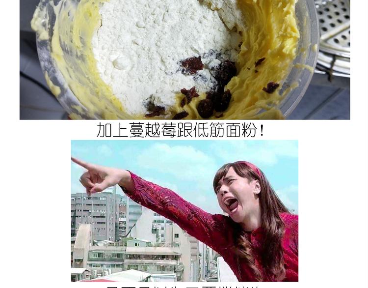 仙女蔓越莓奶酥16