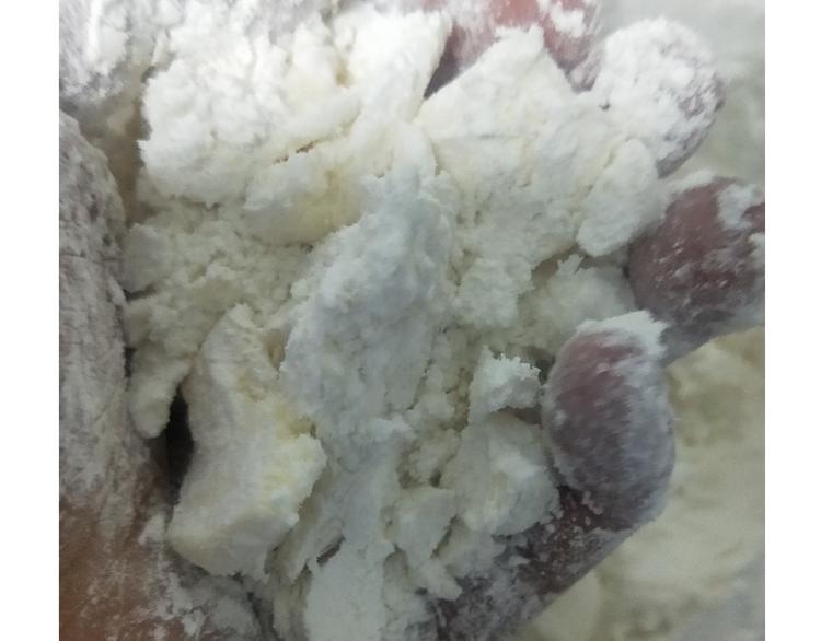 小仙女的布朗熊饼干6