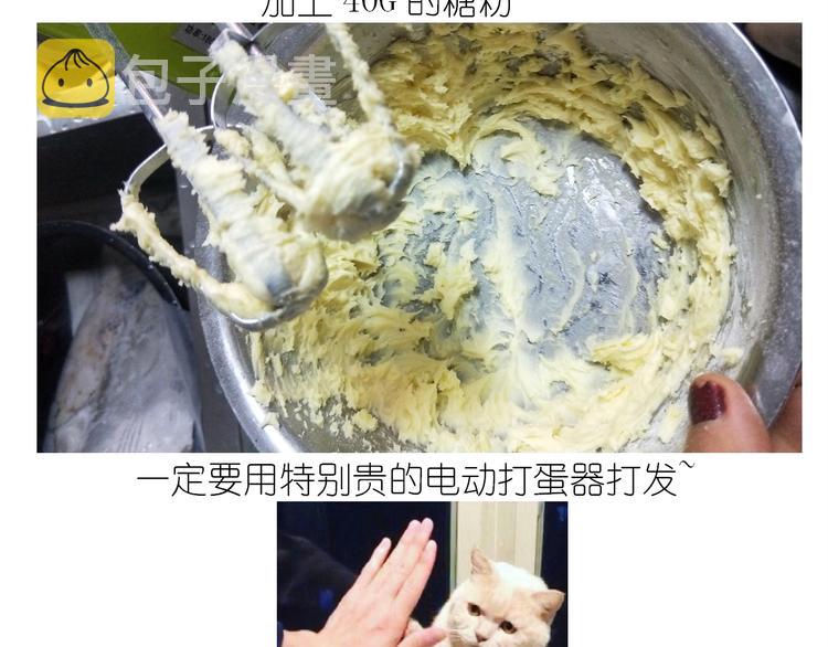 仙女的罗马盾饼干7
