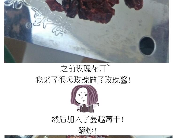 仙女星冰粽16