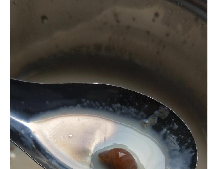 仙女的珍珠奶茶46