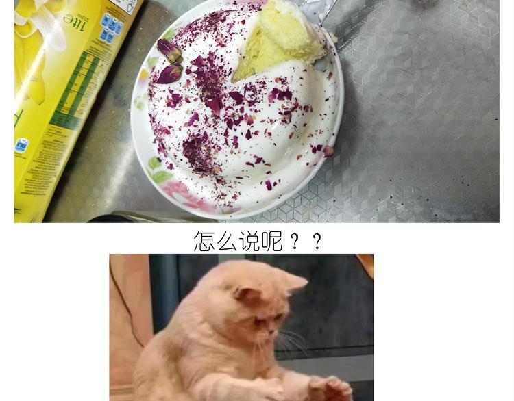仙女酸奶巅峰蛋糕54