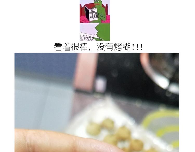 仙女全麦兔仓鼠饼31