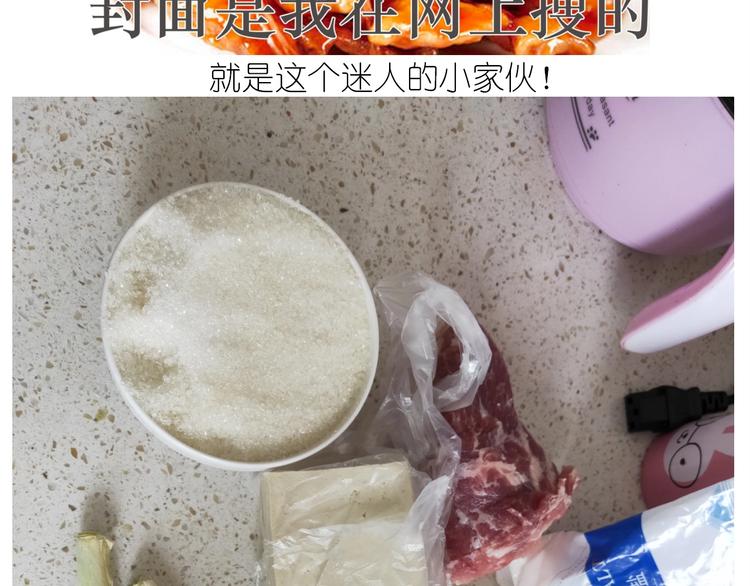仙女锅包肉2