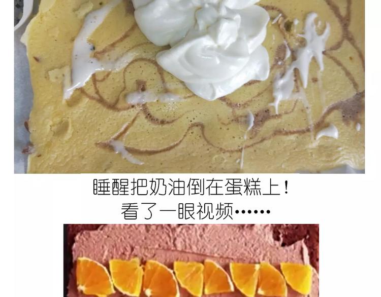 动物蛋糕卷35