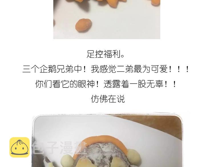 企鹅面包32