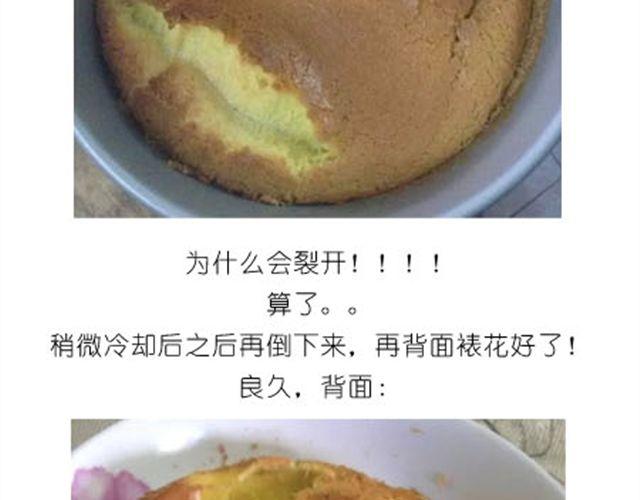 小熊蛋糕13