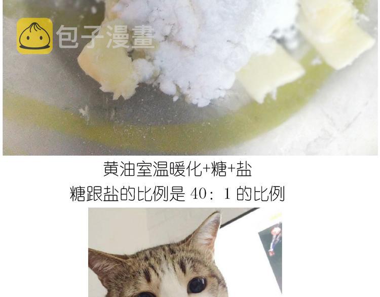 仙女全麦兔仓鼠饼6