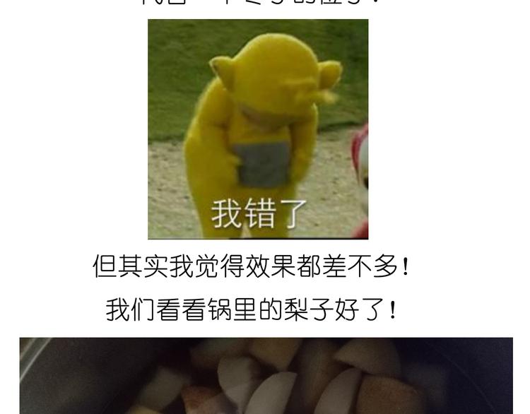 雪梨盅13