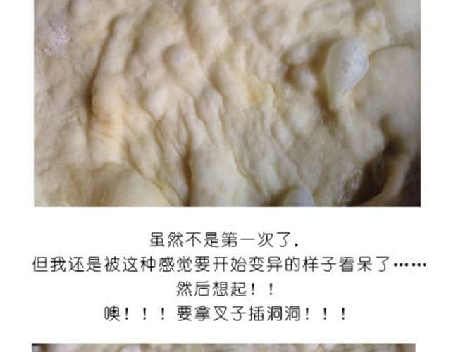 超美味榴莲芝士披萨13
