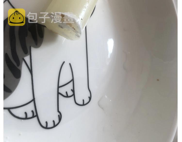 仙女减肥炒饭17
