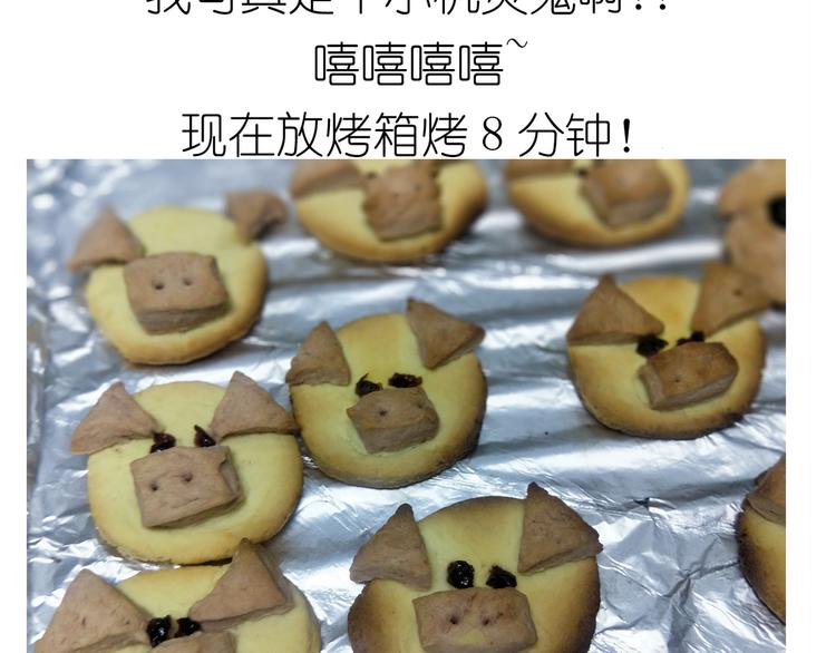 仙女小年特色猪饼干36