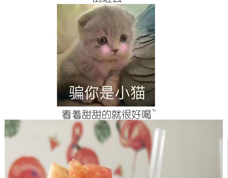 仙女的减肥餐32