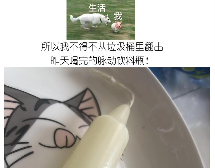 仙女减肥炒饭16