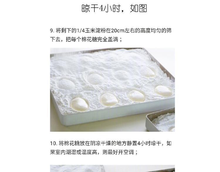 小鸡棉花糖12