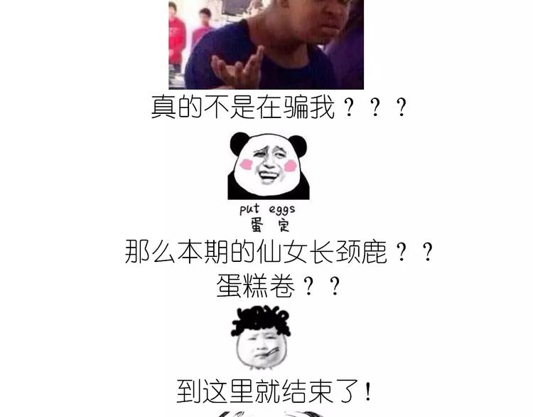 动物蛋糕卷48